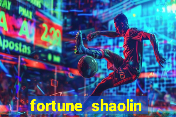 fortune shaolin soccer demo